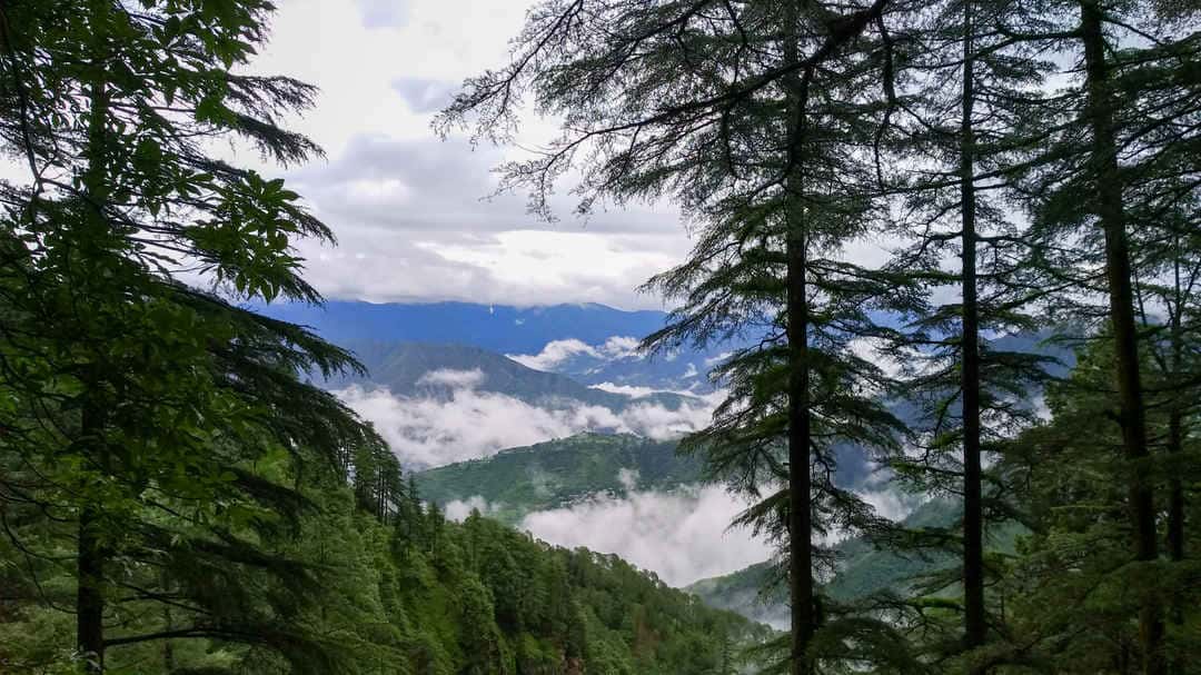 Lal Tibba