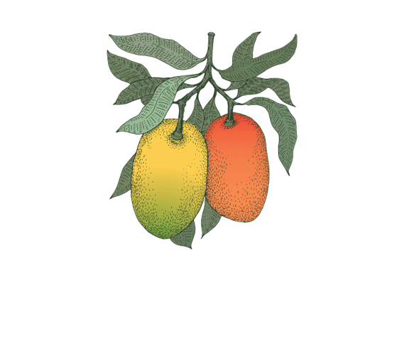 Mango Tree